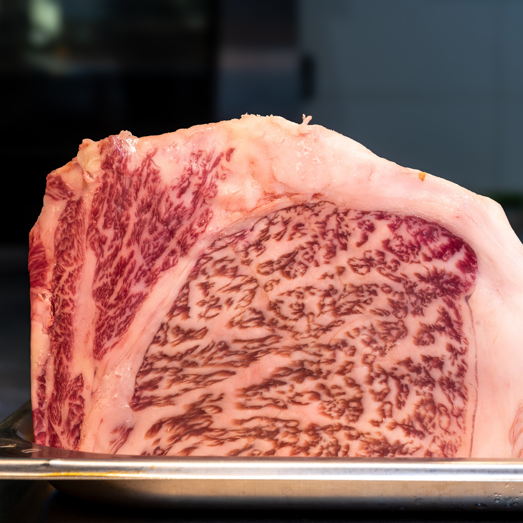 A raw whole primal loin cross-section of 100% Fullblood American Wagyu ribeye displaying dense, web-like intramuscular snowflake marbling at Winston Cattle Co.