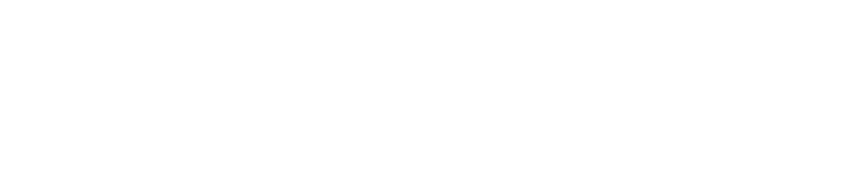 Winston Cattle Co. logo