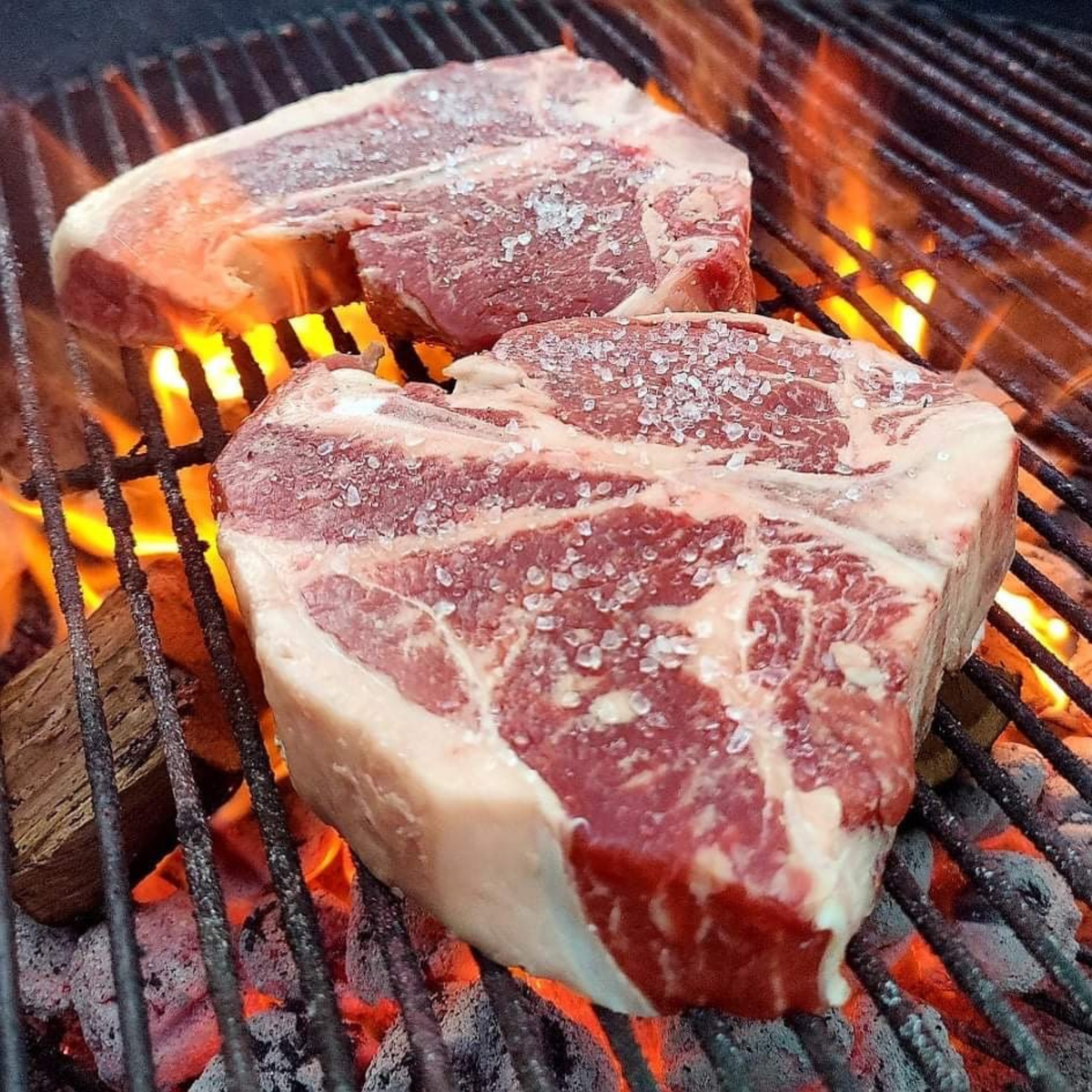 USDA Prime Black Angus beef cuts from Winston Cattle Co.